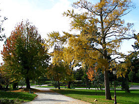 Le Parc Mauresque - Arboretum